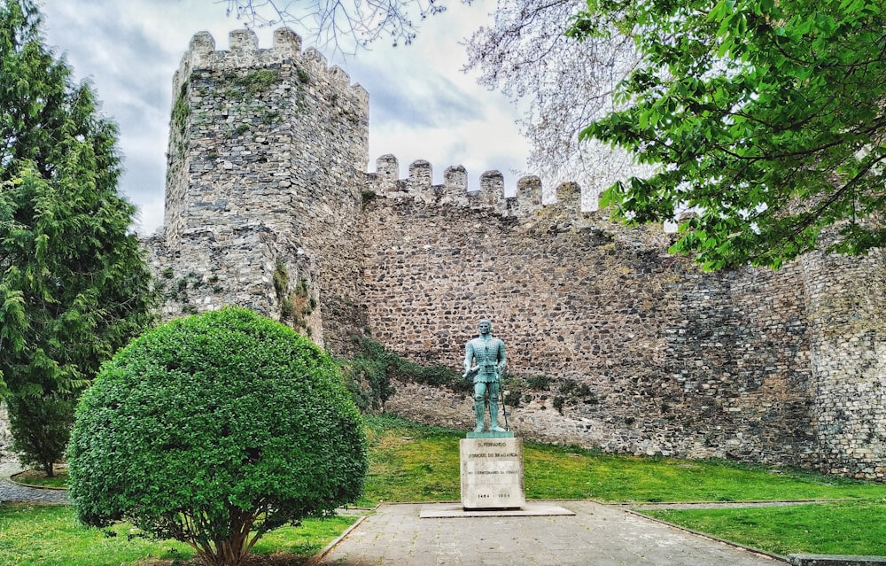 statue by tree and castle during daytime