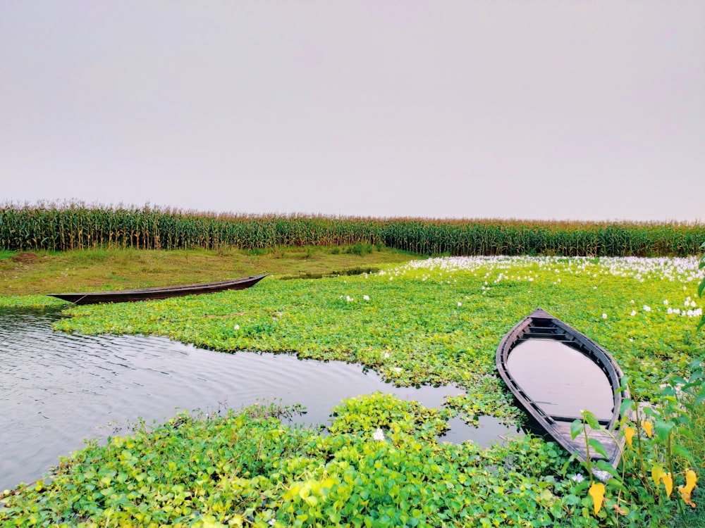 canoe on body of water during daytime