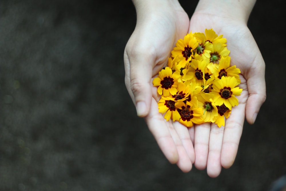 a person holding yellow flowers in their hands