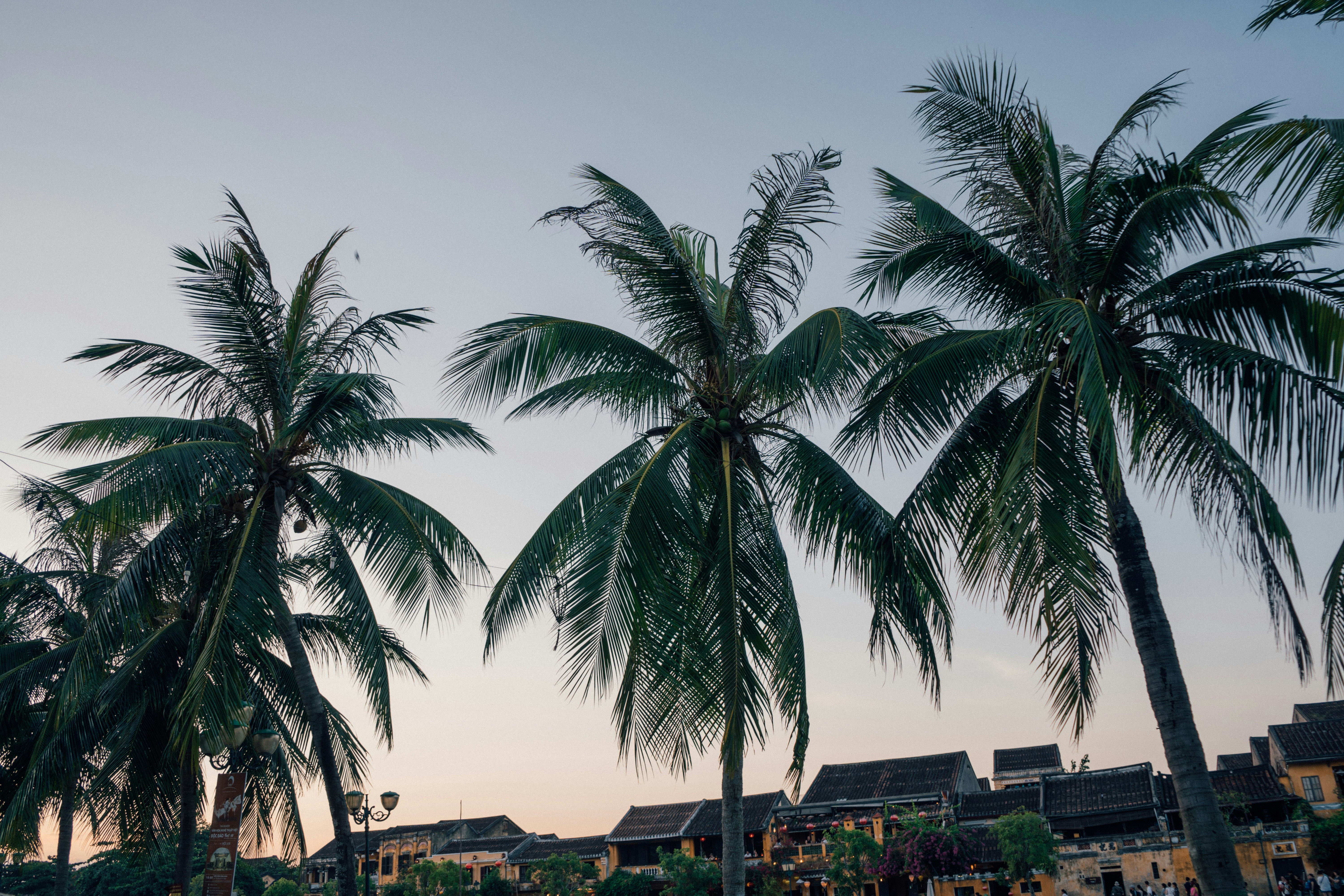 Photo by nicolasjleclercq