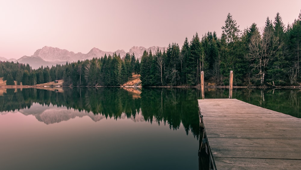 Un muelle de madera sentado en la cima de un lago junto a un bosque
