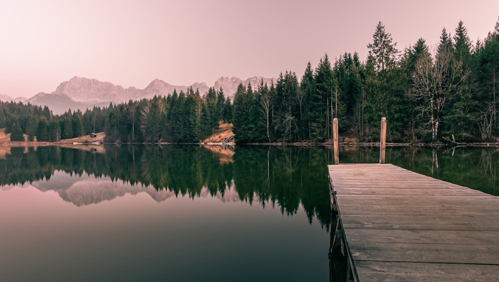 a wooden dock sitting on top of a lake next to a forest