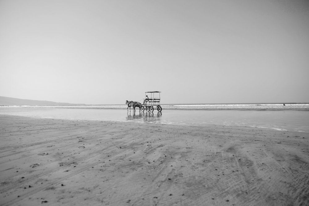 horse pulling carriage on shore during day