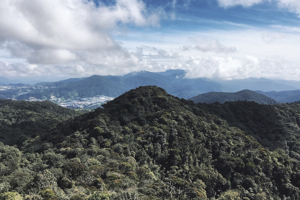 landscape photography of forest and mountain