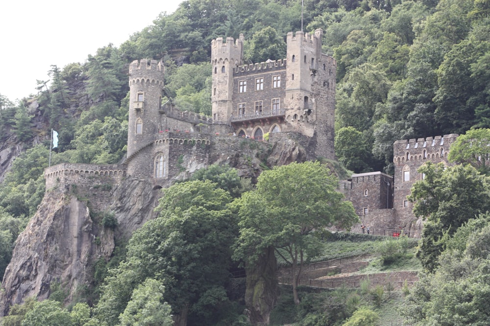 gray castle surrounded by trees