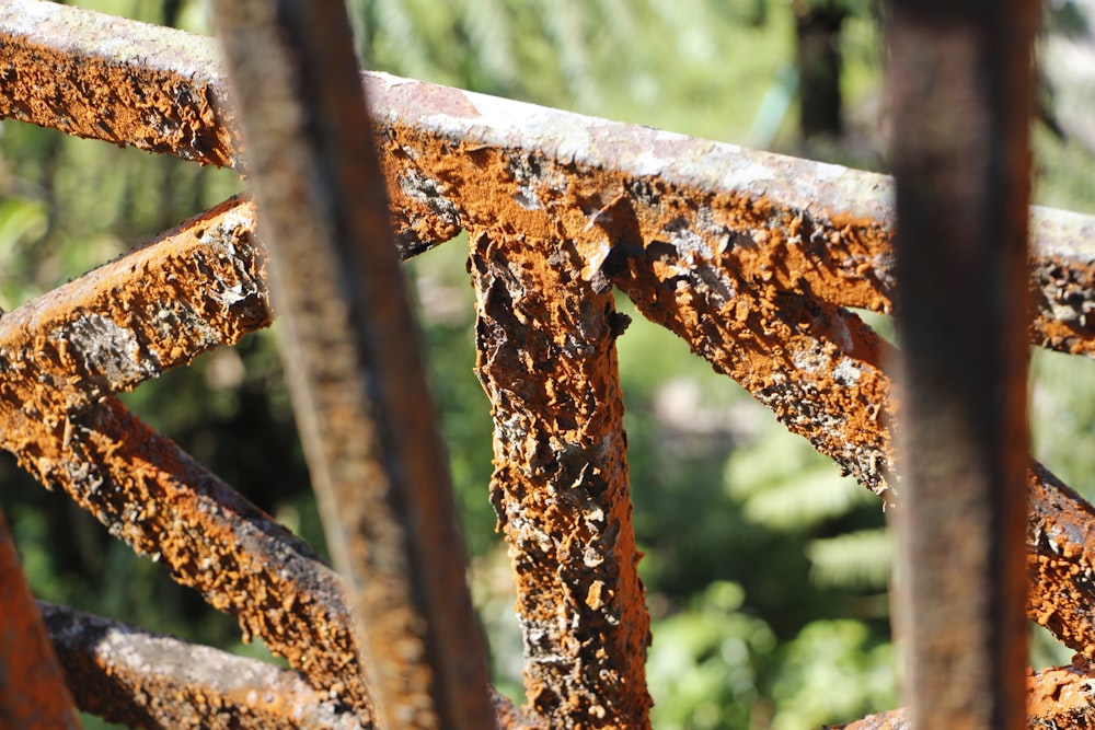 brown rust forming on metal railings
