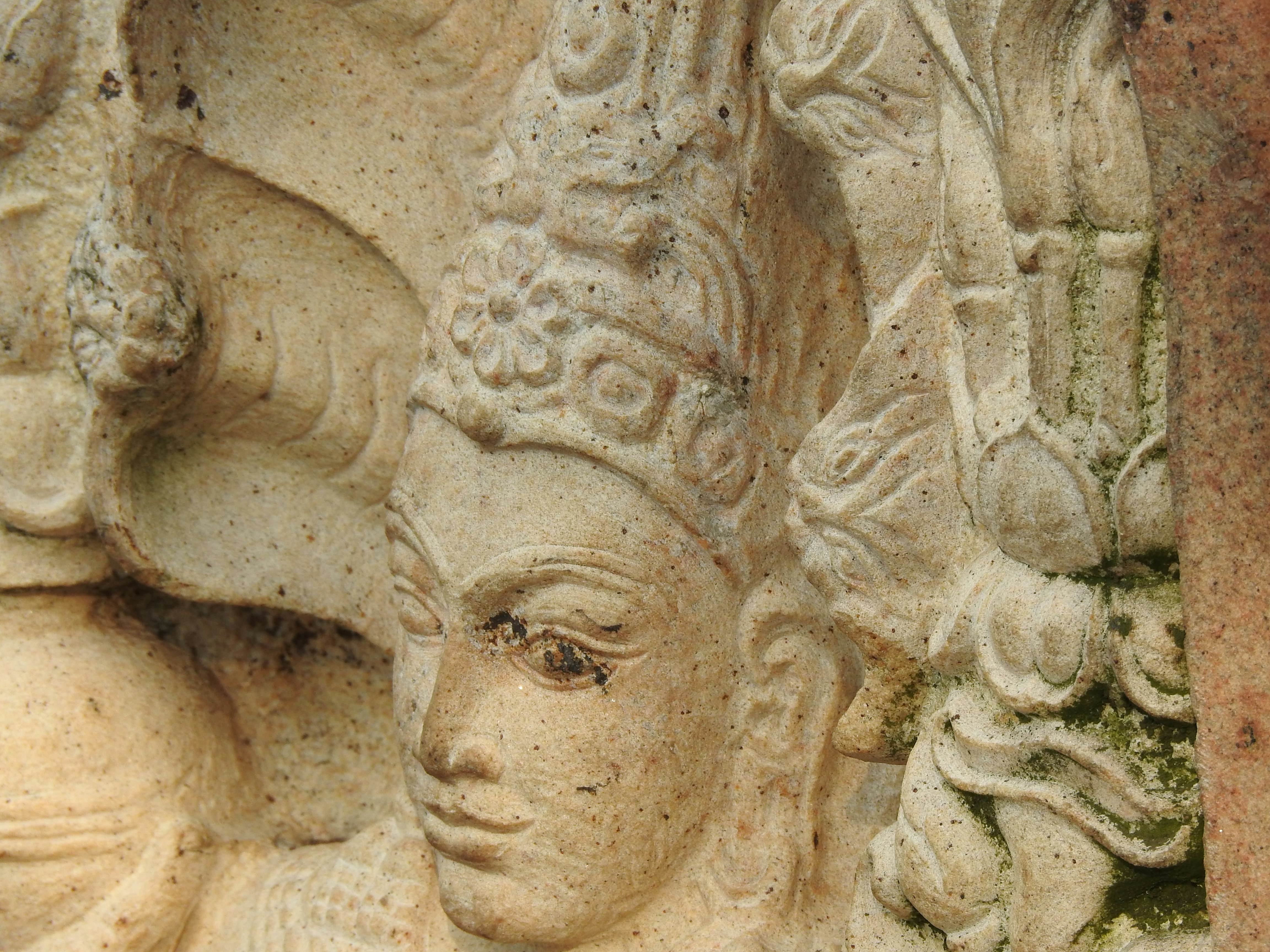 Photo by damithdarshana