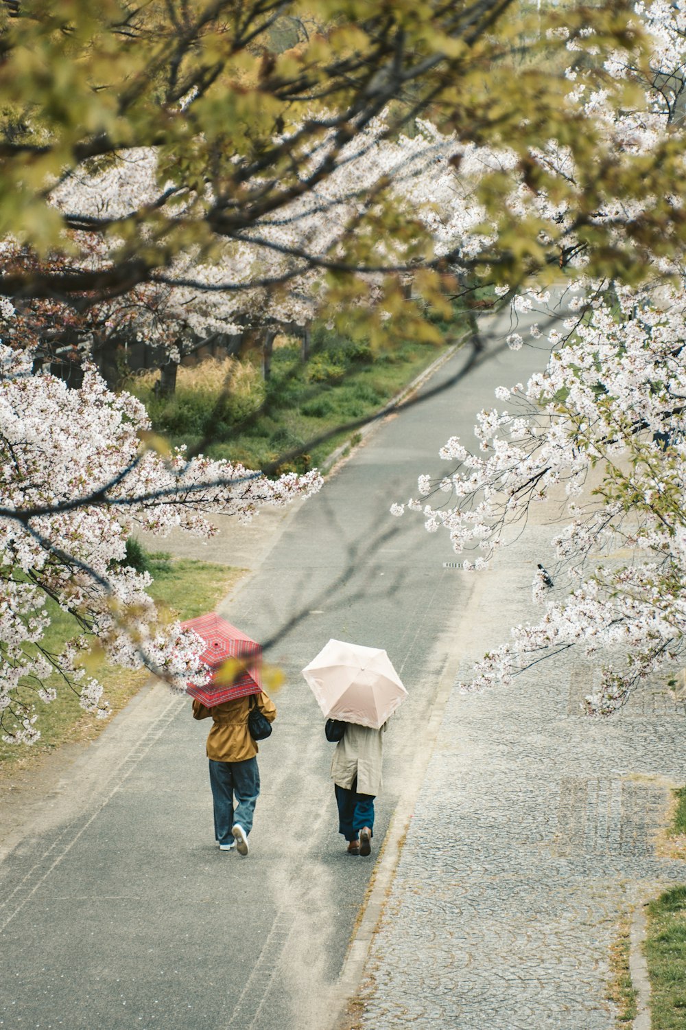two people walking on road