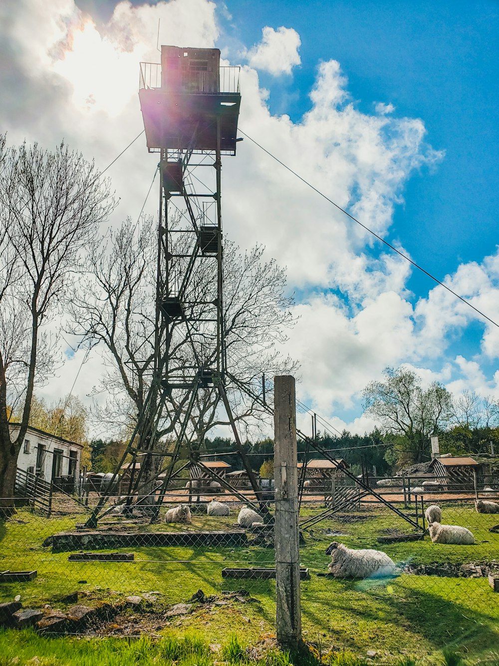 Seilrutsche unter blauem Himmel