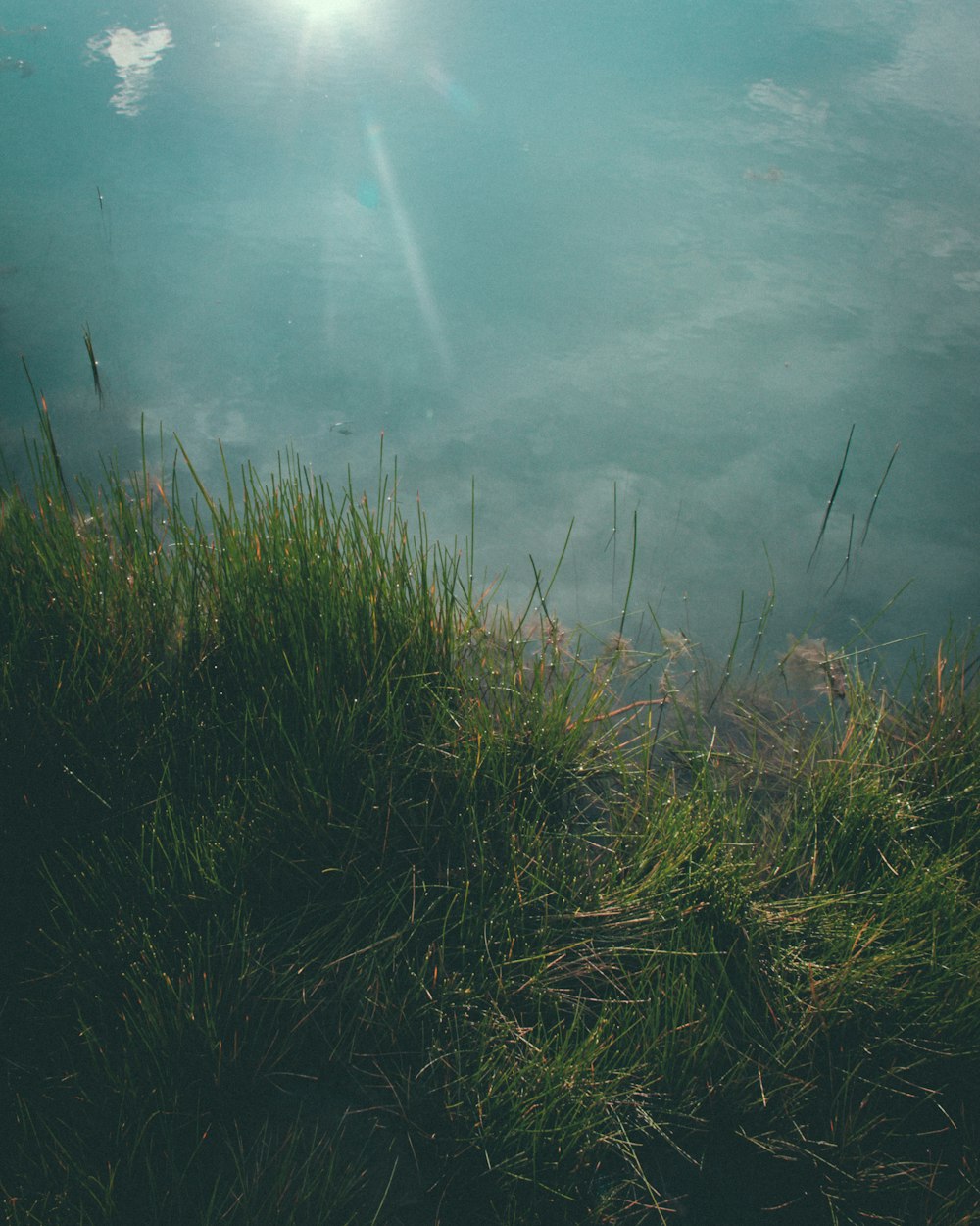 green grass on top of mountain