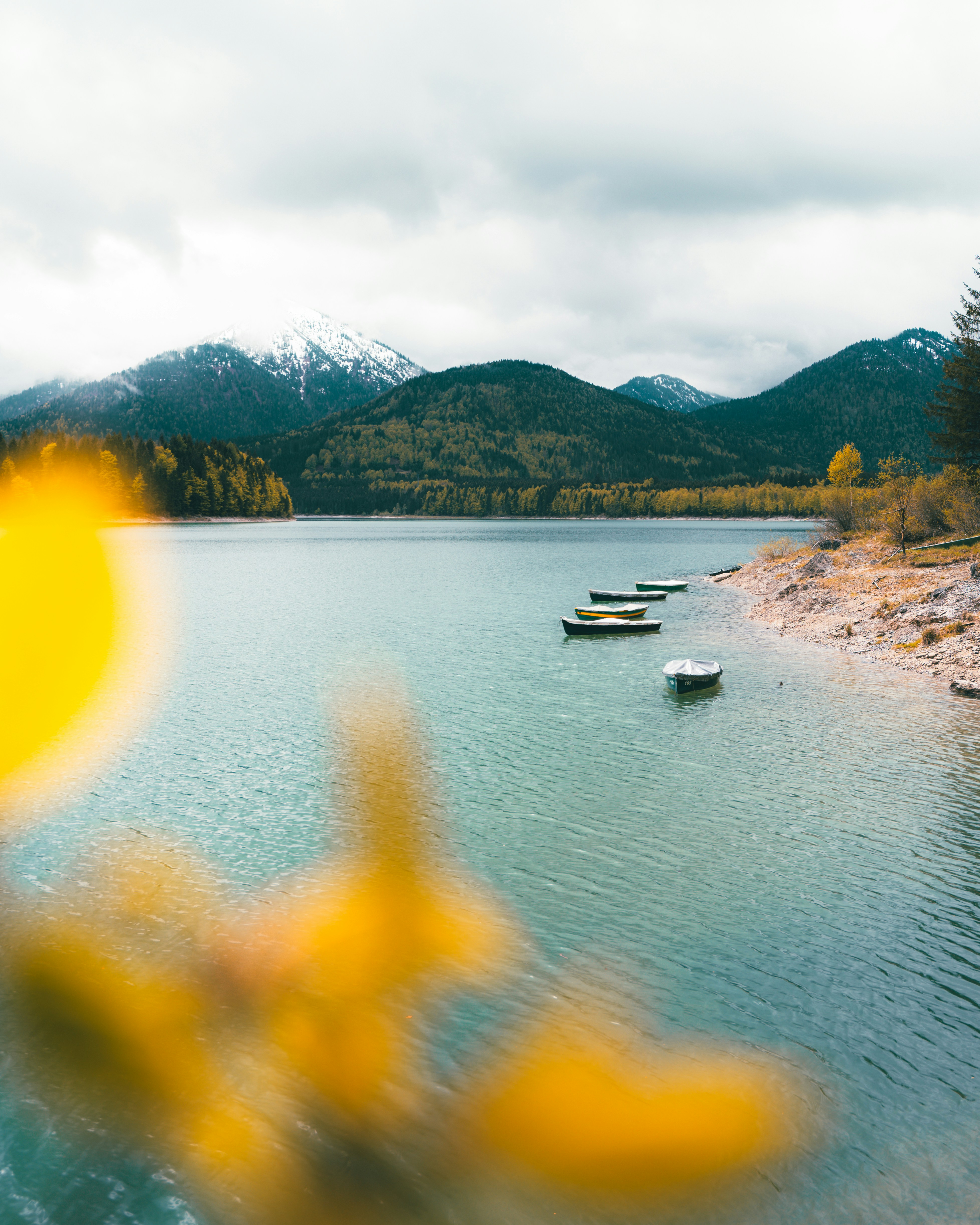 Photo by sarahroaming