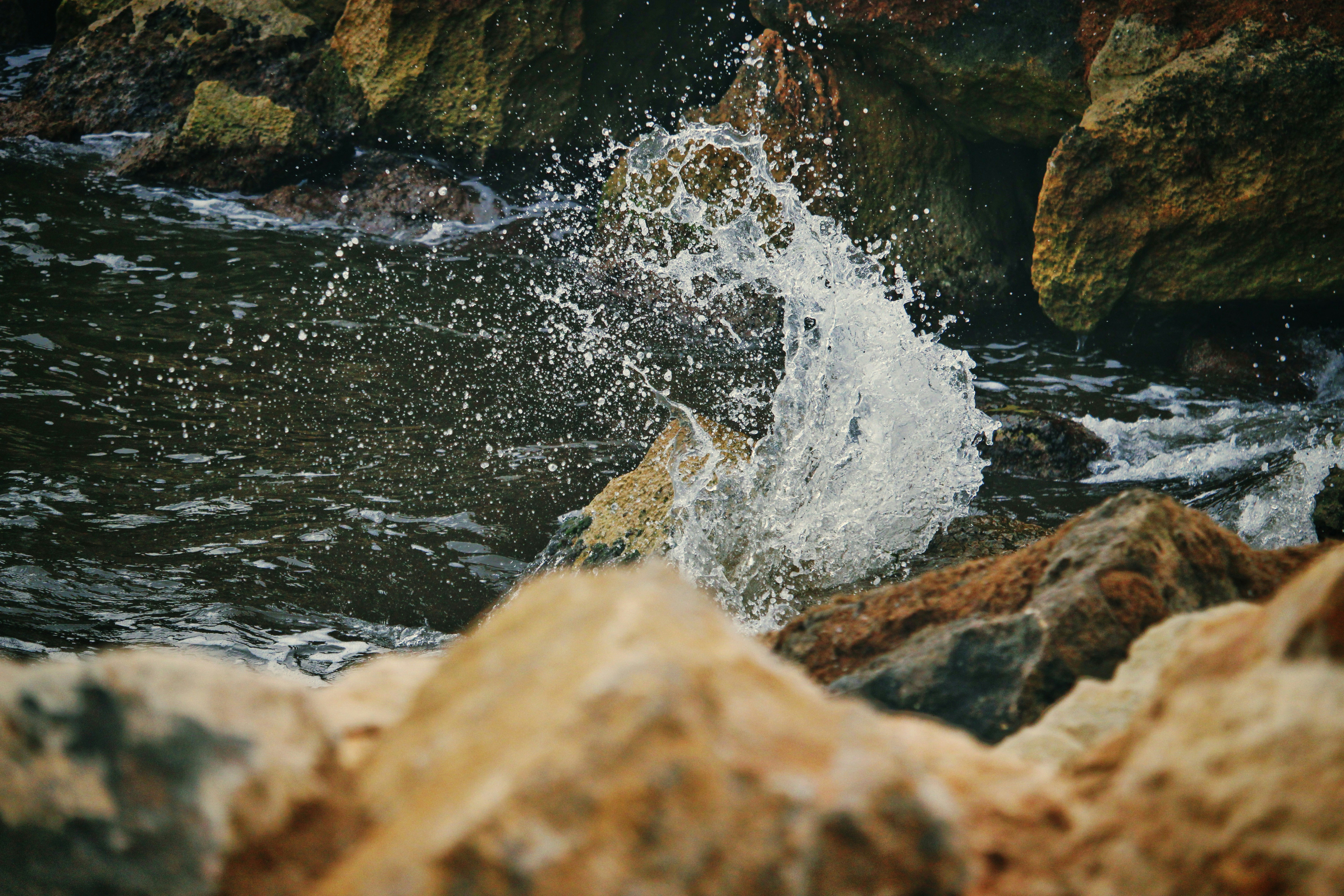 Photo by miguelmartinez