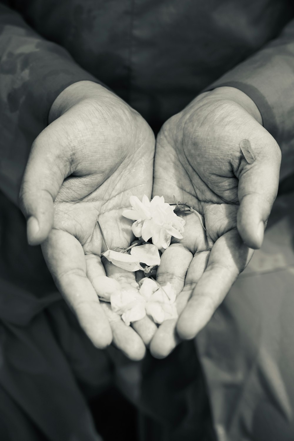 human hands with flowers