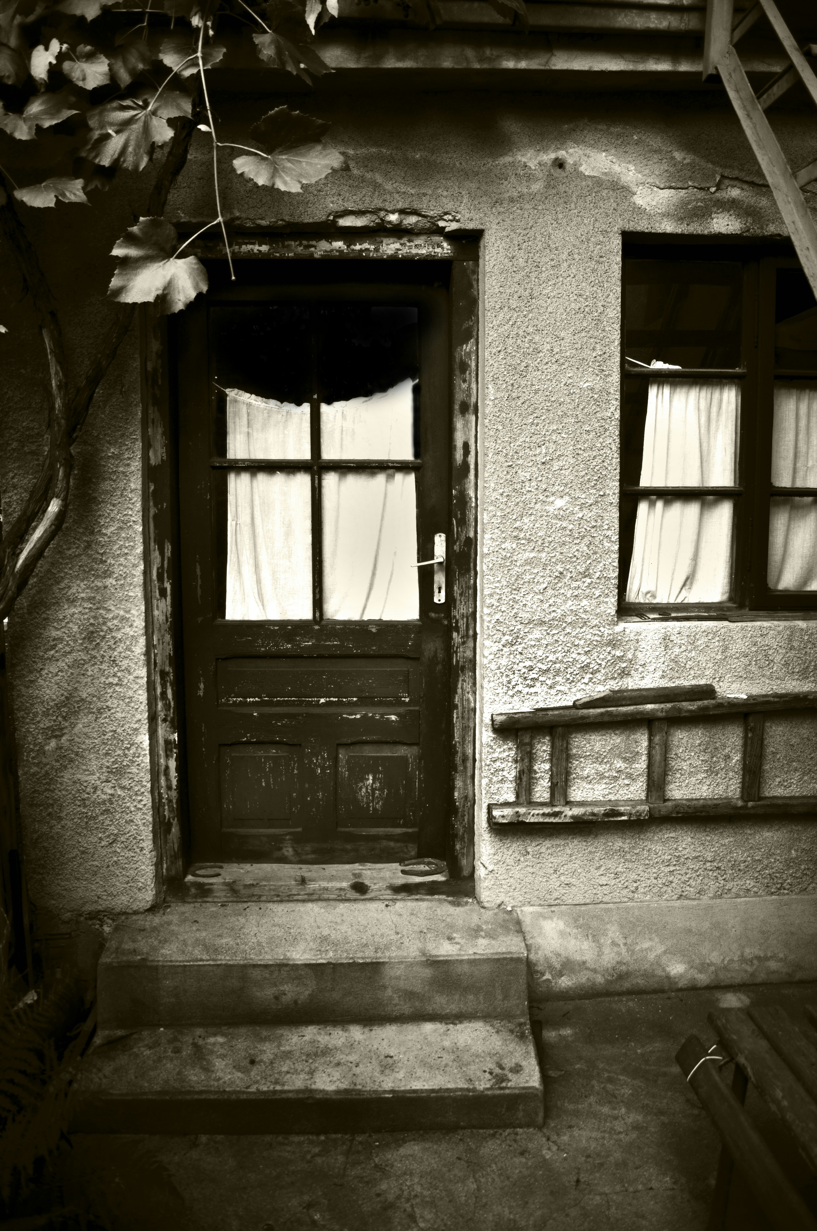 a black and white photo of a door and steps