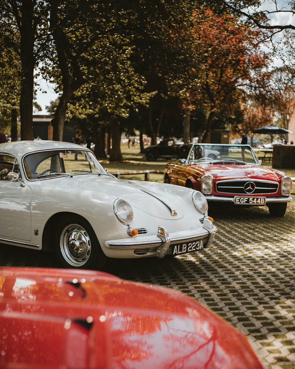 white car near another car beside tree