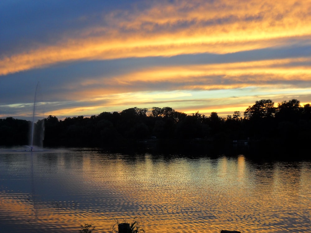 silhouette of trees facing body of water