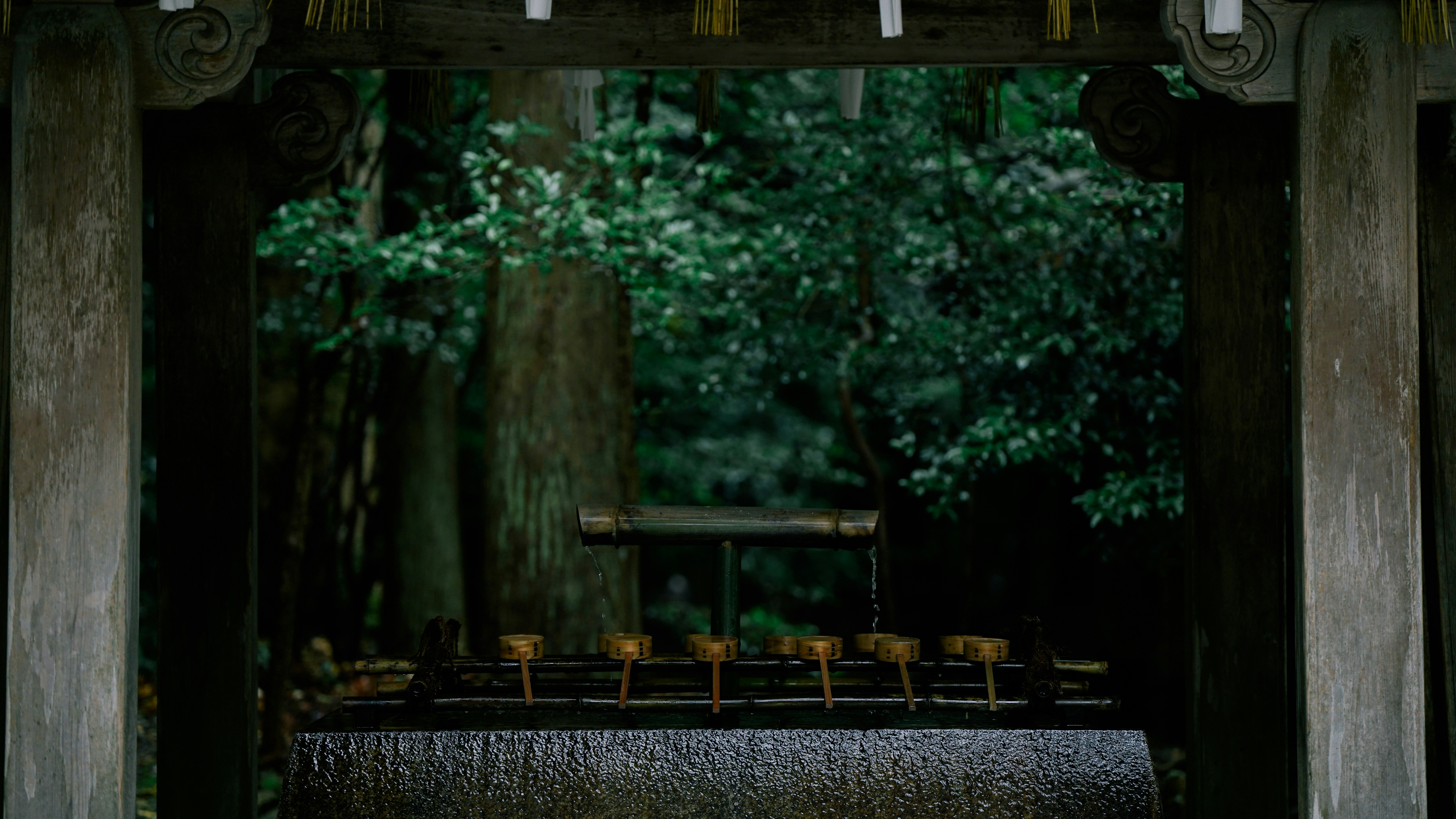 Photo by tokyokohaku