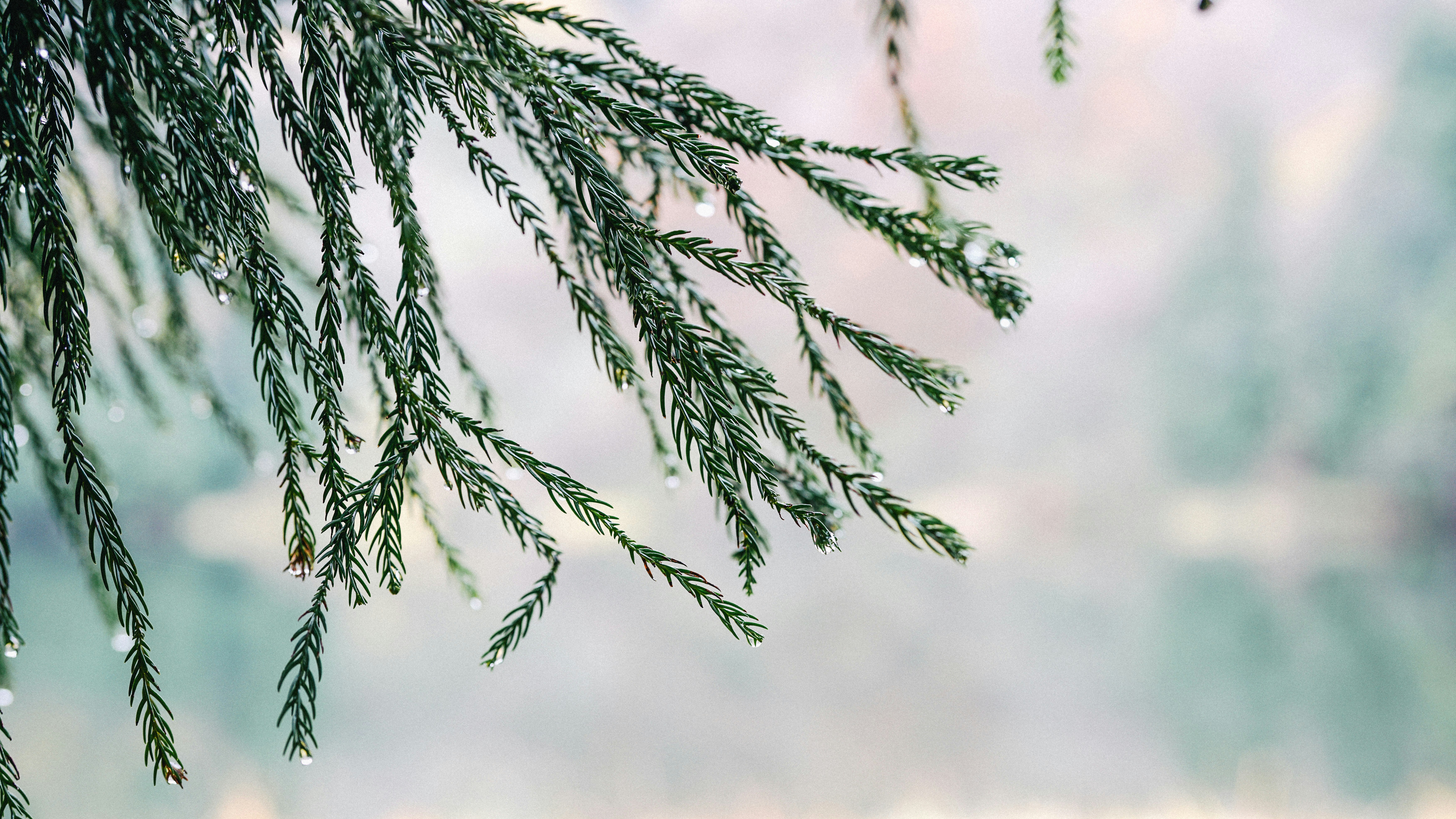 Photo by tokyokohaku