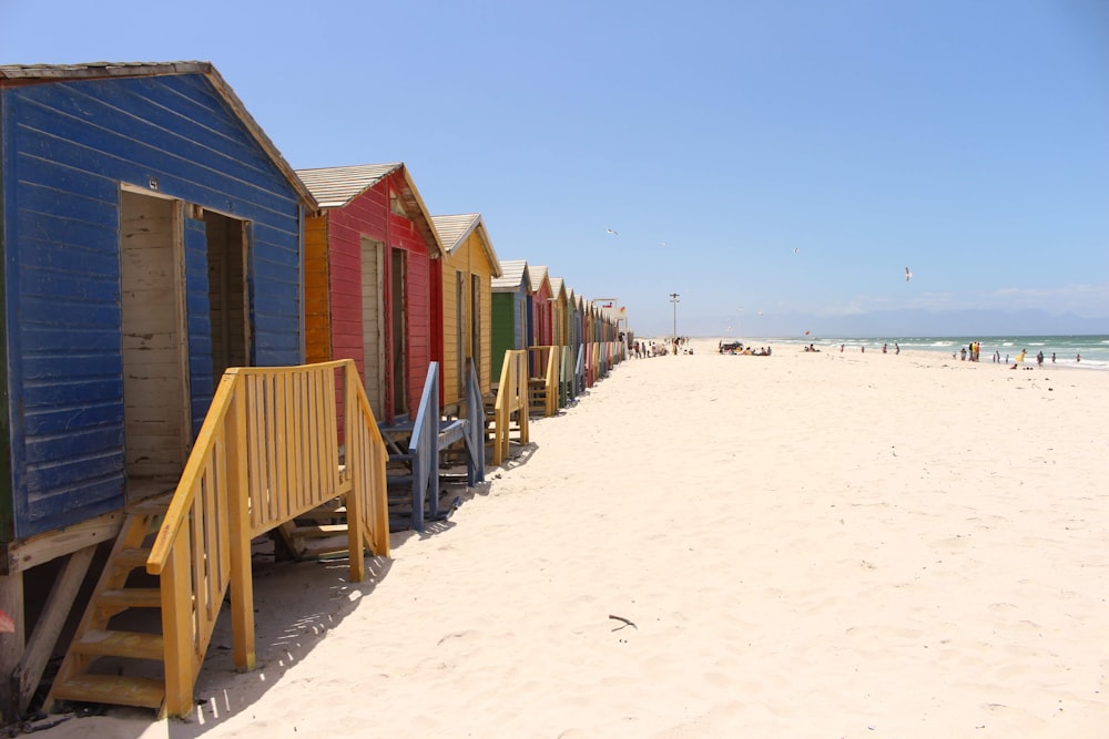 seashore with houses