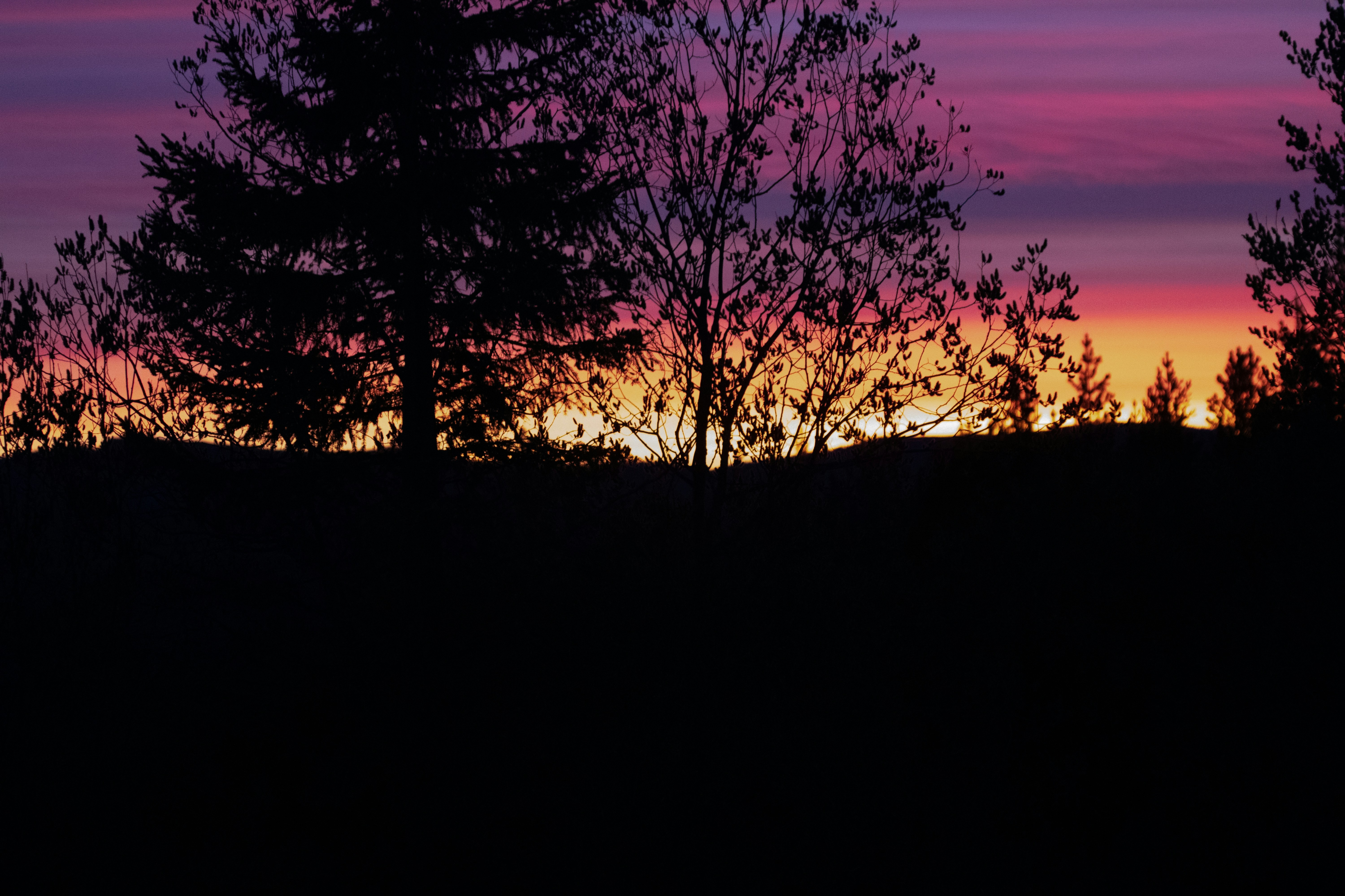 Photo by lassenystedtfoto