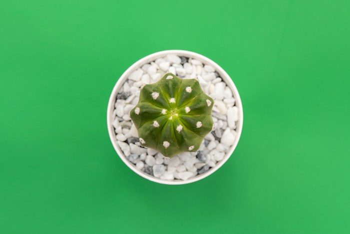 꽃다발