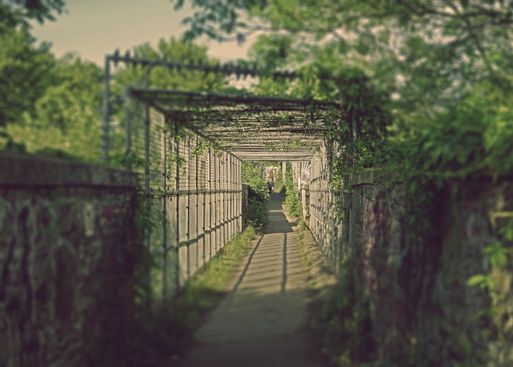 close-up photography of tunnel