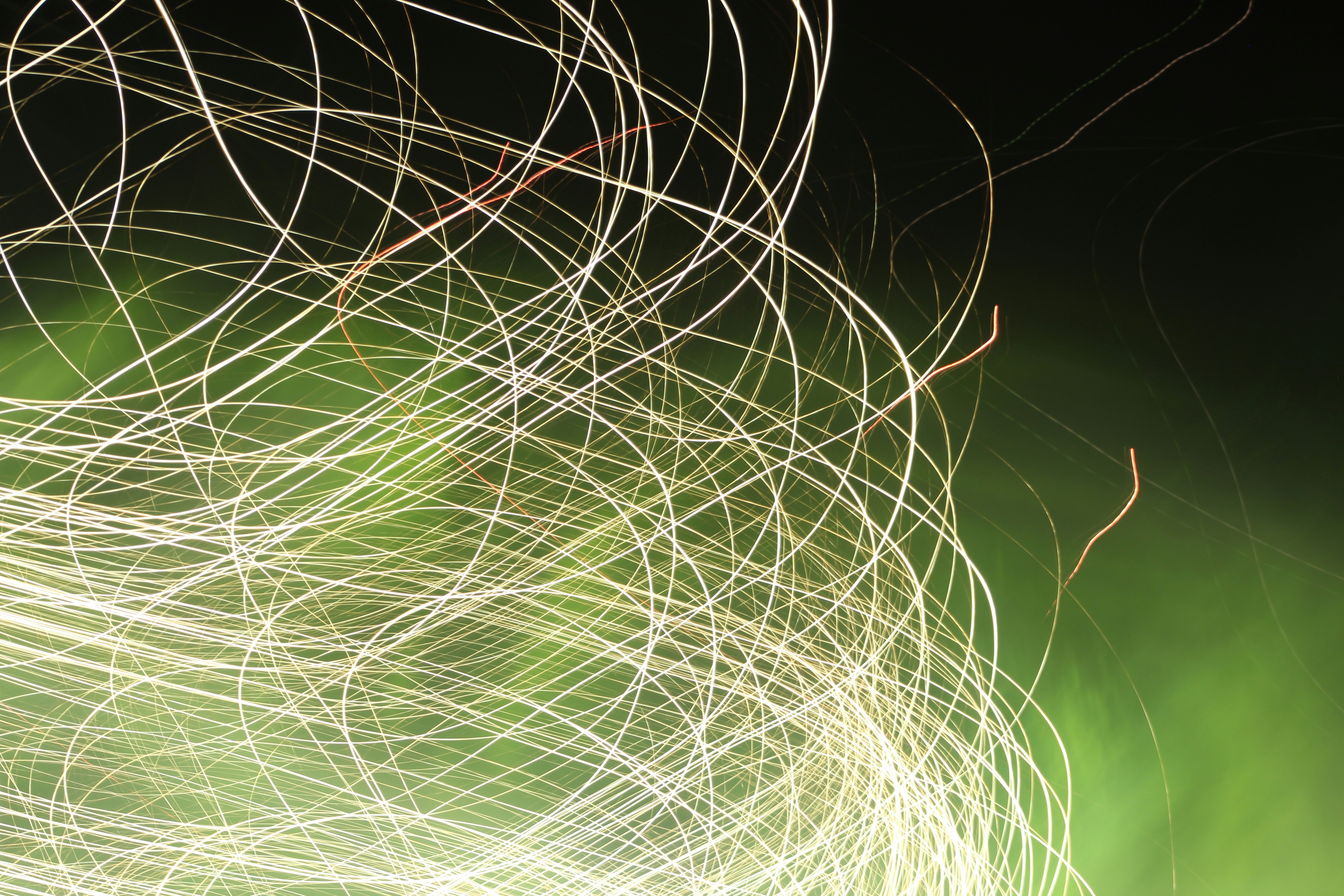 Photo by levi_midnight