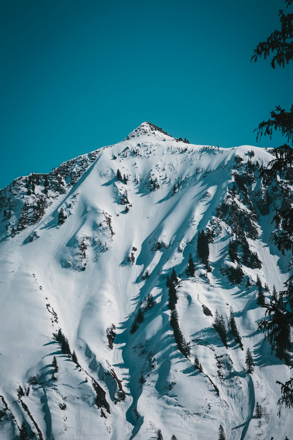 snow covered mountain