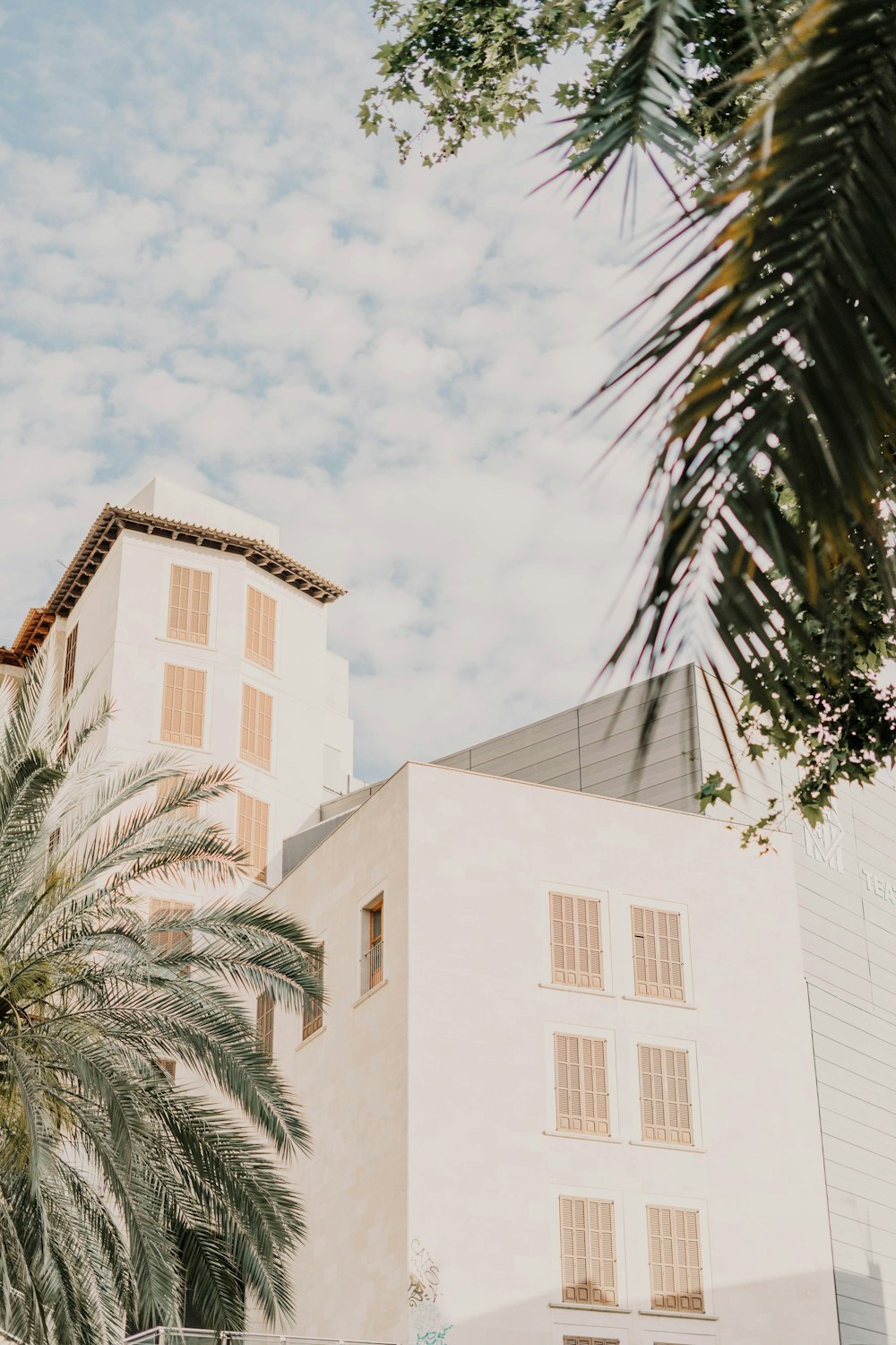 a tall white building sitting next to a palm tree