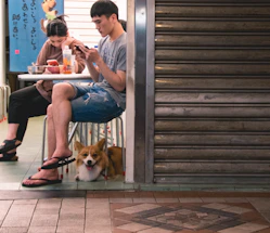 A friendly dog owner typing a message on their smartphone with a happy dog sitting beside them.
