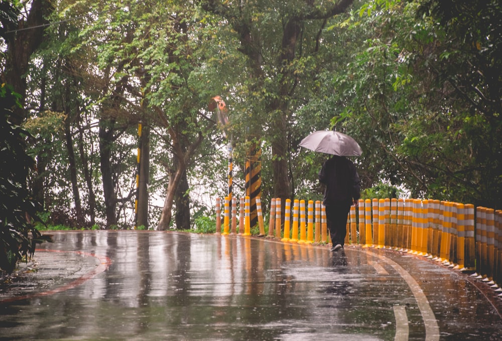 person walking on street while raining and holding umbrella