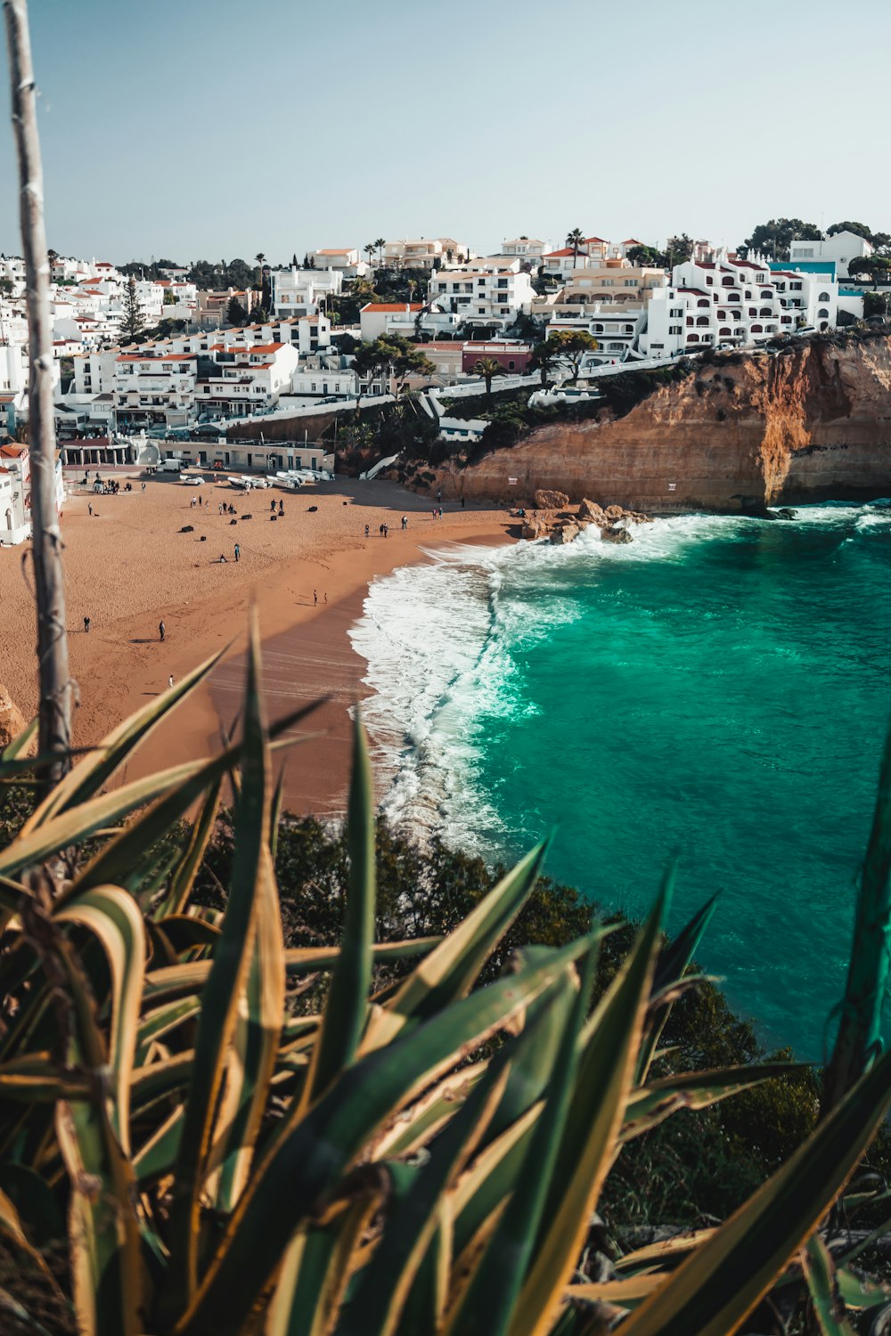 seashore near buildings during daytime