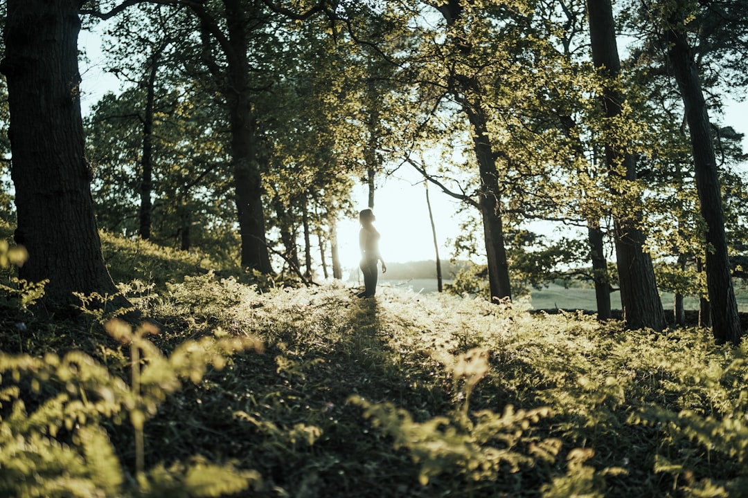 person standing in the middle of the forest during day