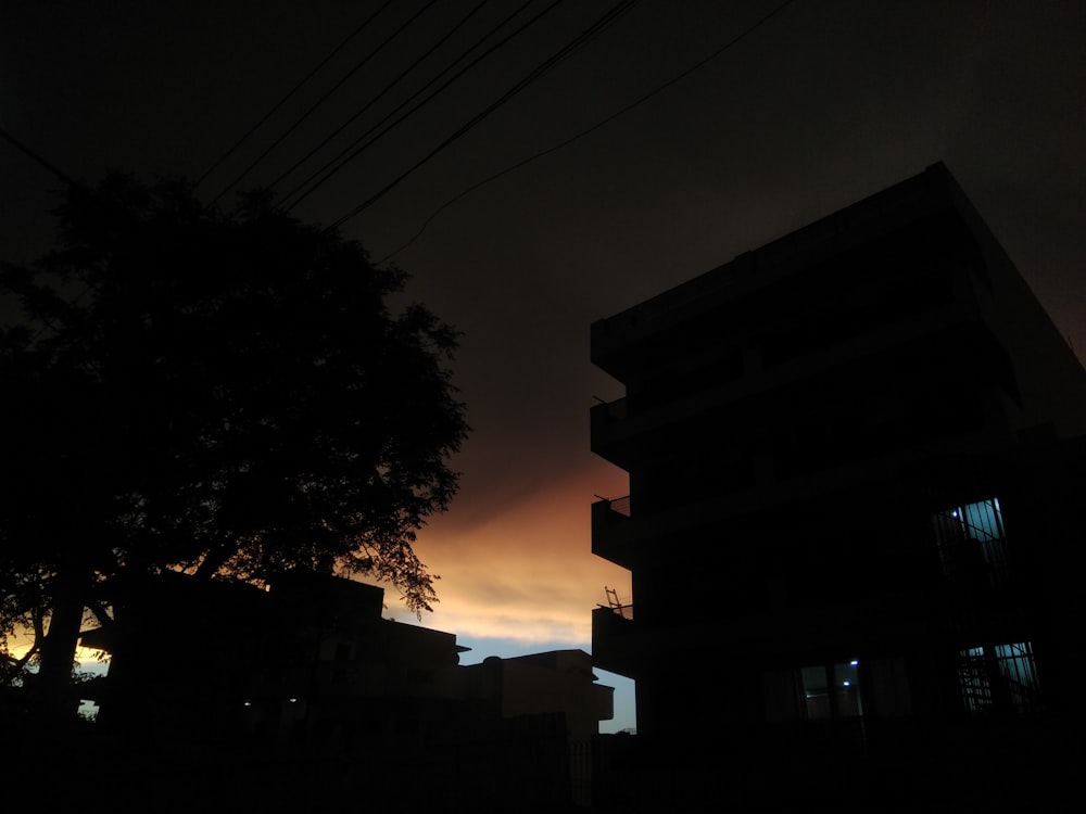 silhouette of building