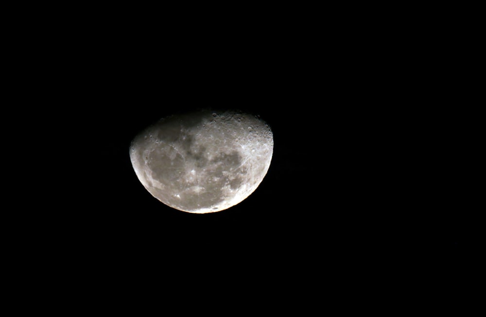 closeup photo of moon