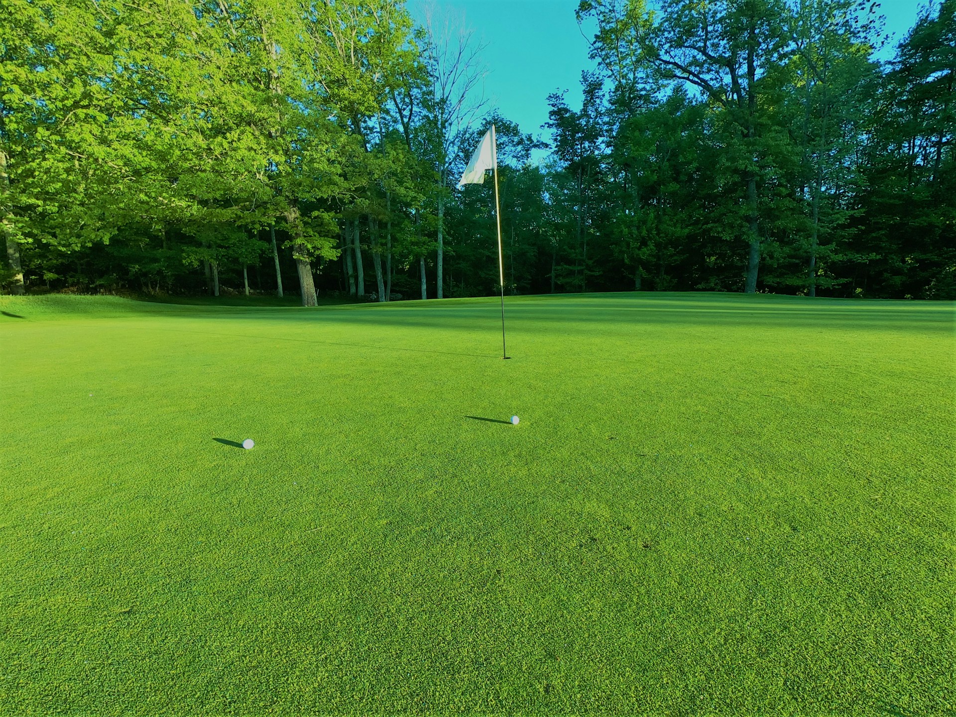 green grass field