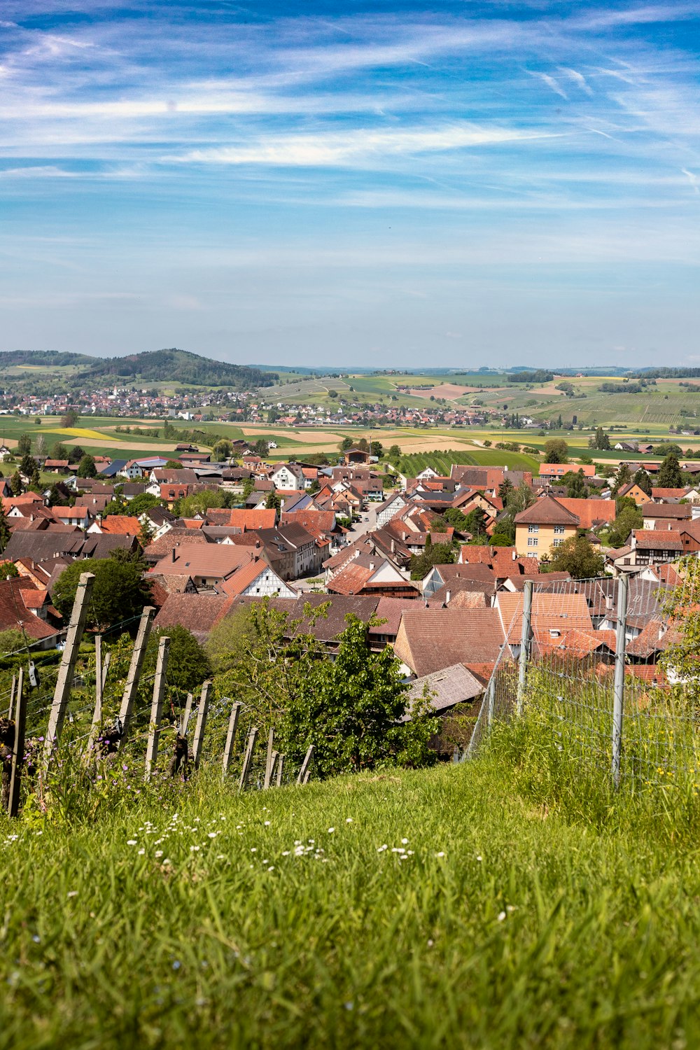 aerial photo of houses