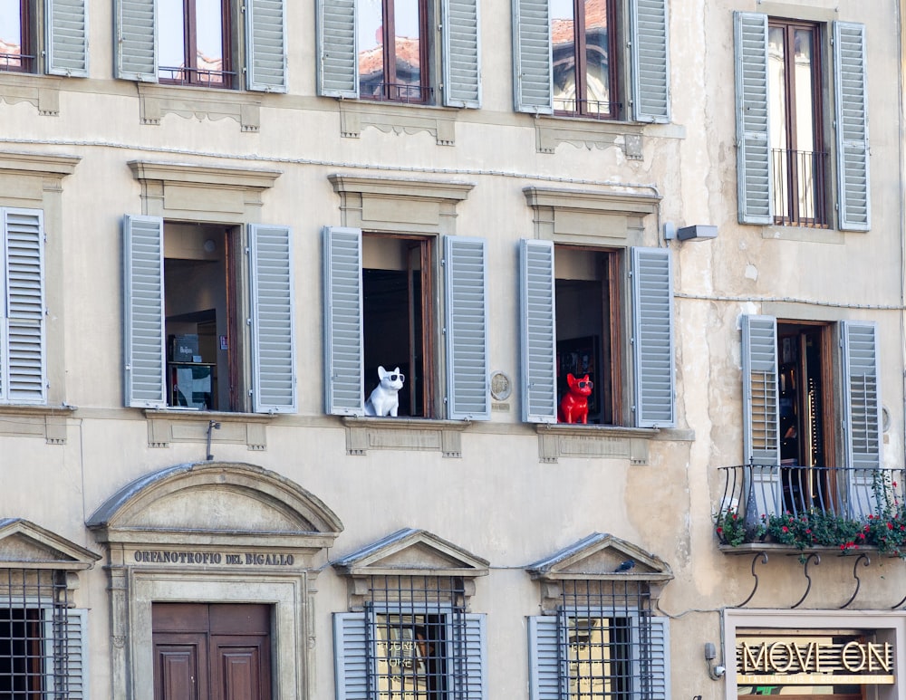 dog seated on building window