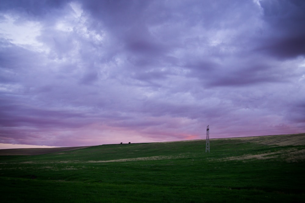 campo coperto di erba verde sotto nuvole grigie e viola