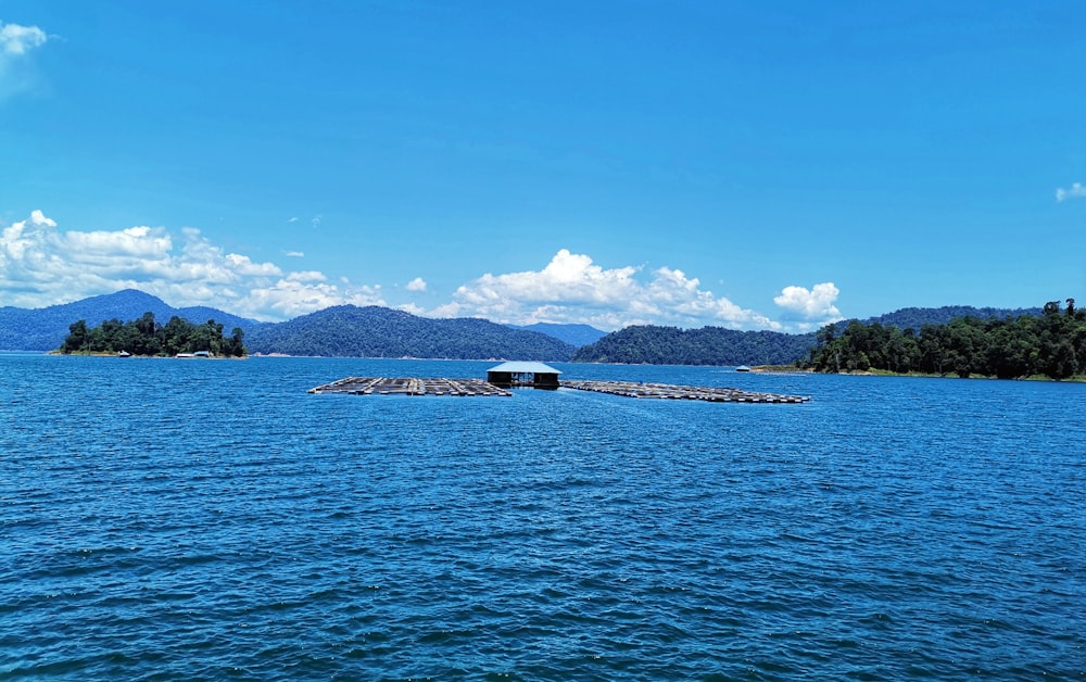 body of water near green trees during daytime