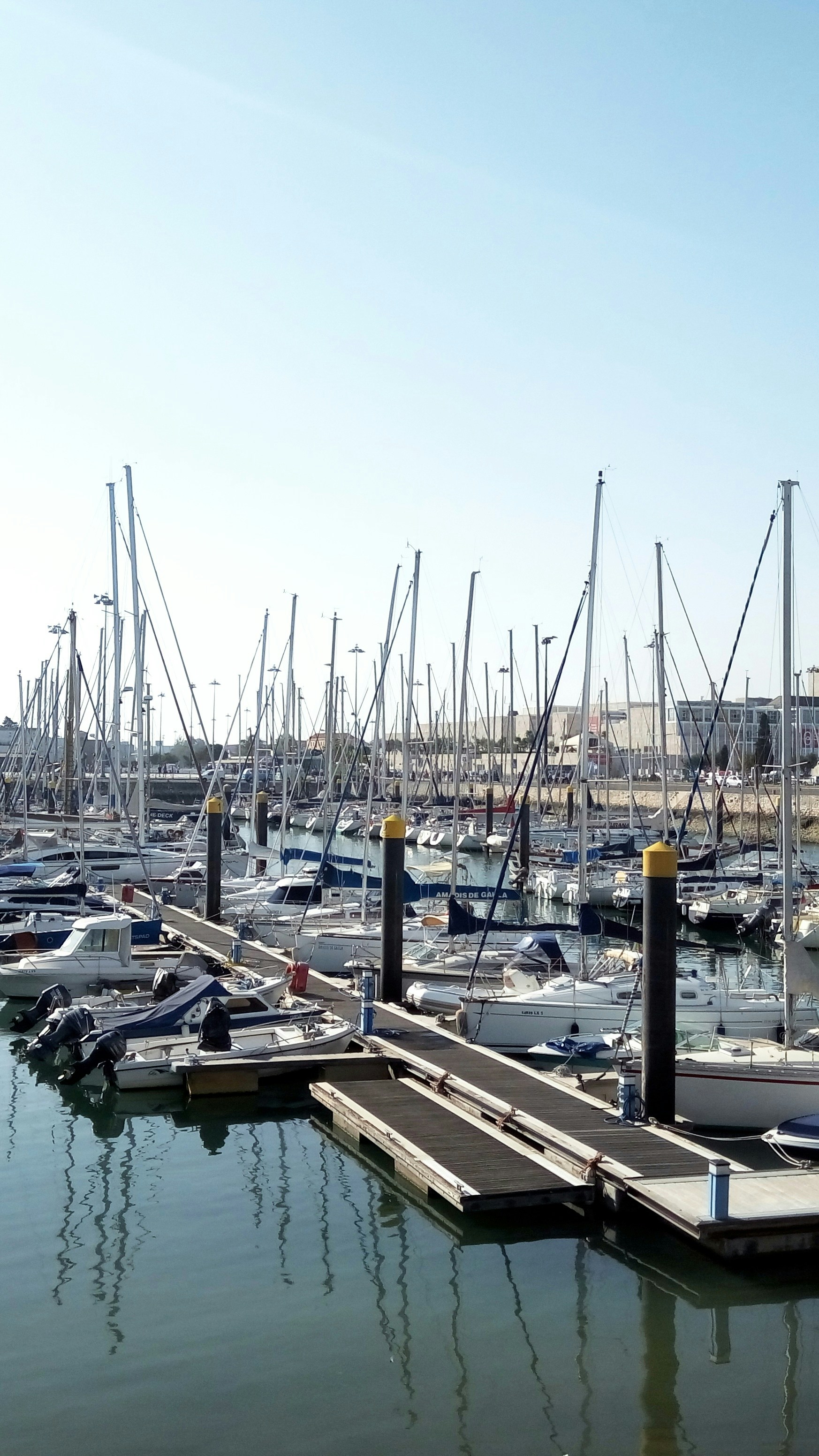 Photo by harryanderson