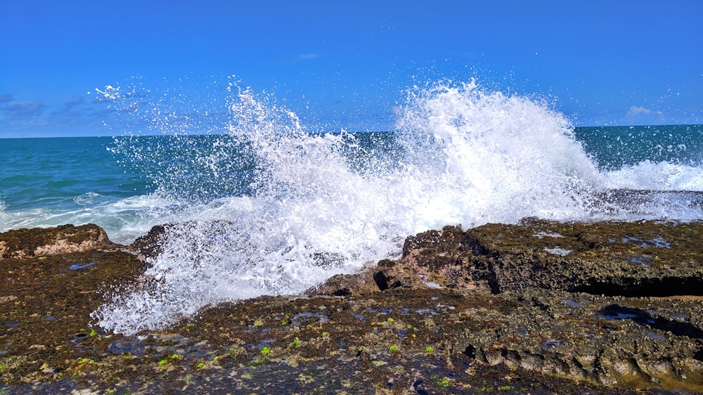 sea waves crushed on stones