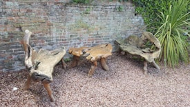 A set of rustic wooden furniture, including two benches and a table, crafted from natural driftwood. The furniture is placed on a gravel-covered ground against a textured brick wall with some ivy growing over it. Nearby, a tall green plant adds a touch of nature.