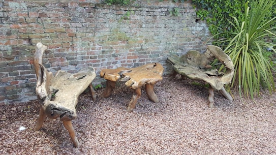 A set of rustic wooden furniture, including two benches and a table, crafted from natural driftwood. The furniture is placed on a gravel-covered ground against a textured brick wall with some ivy growing over it. Nearby, a tall green plant adds a touch of nature.