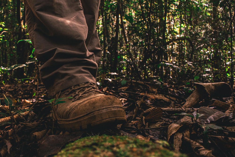 person in brown pants and shoes on forest