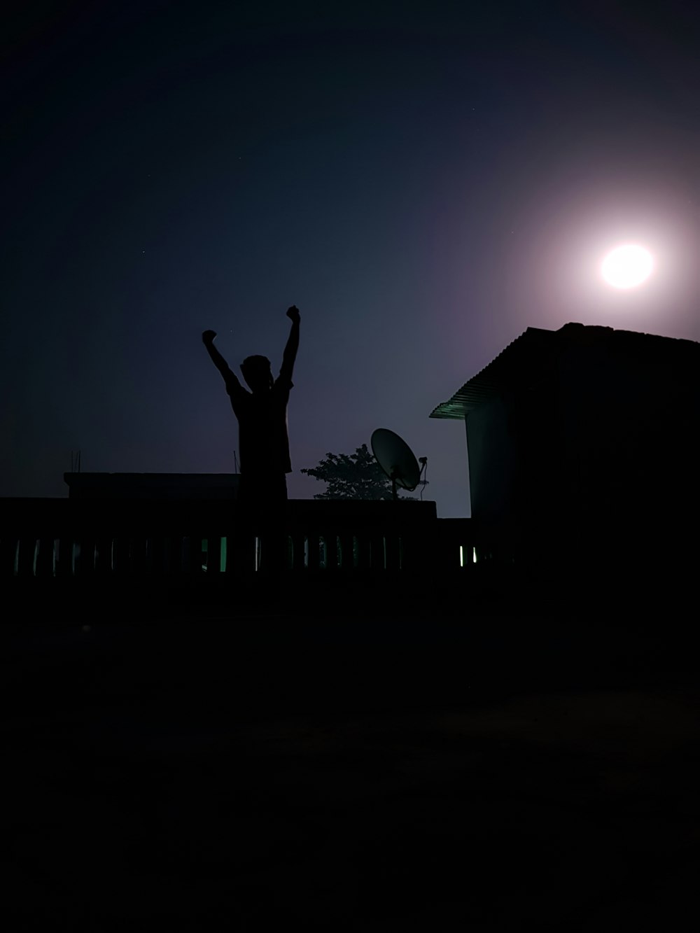 silhouette photo of person standing near house