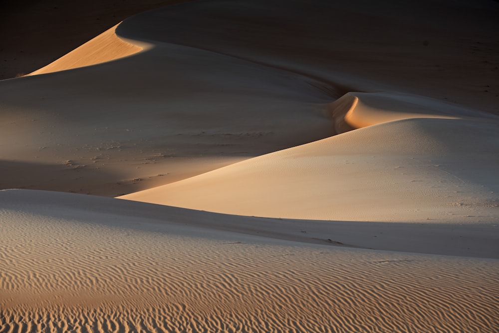 a person walking across a sandy field in the desert