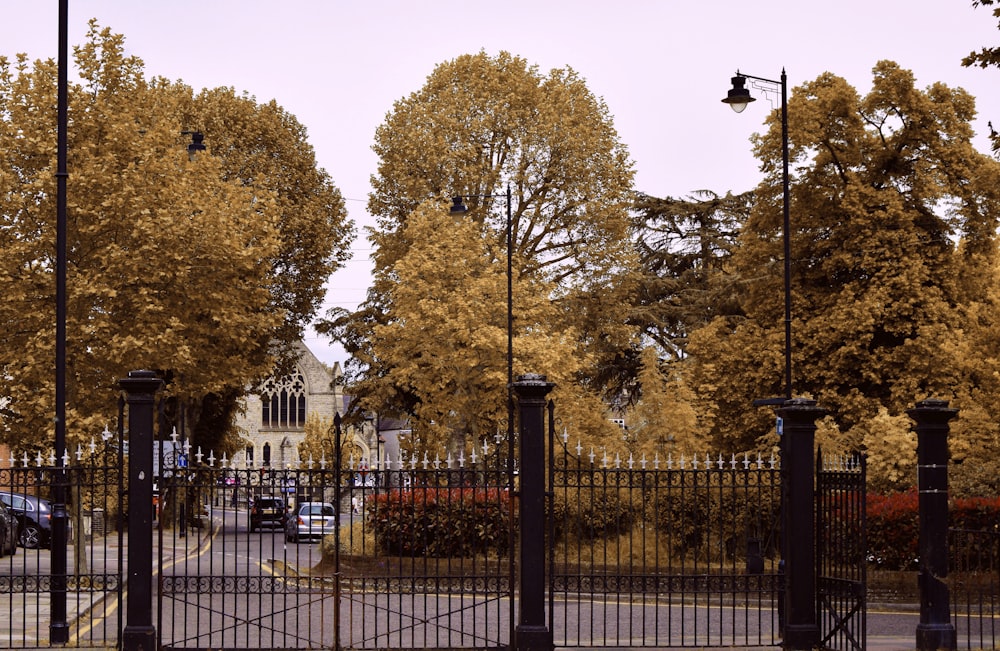 metal gate near trees