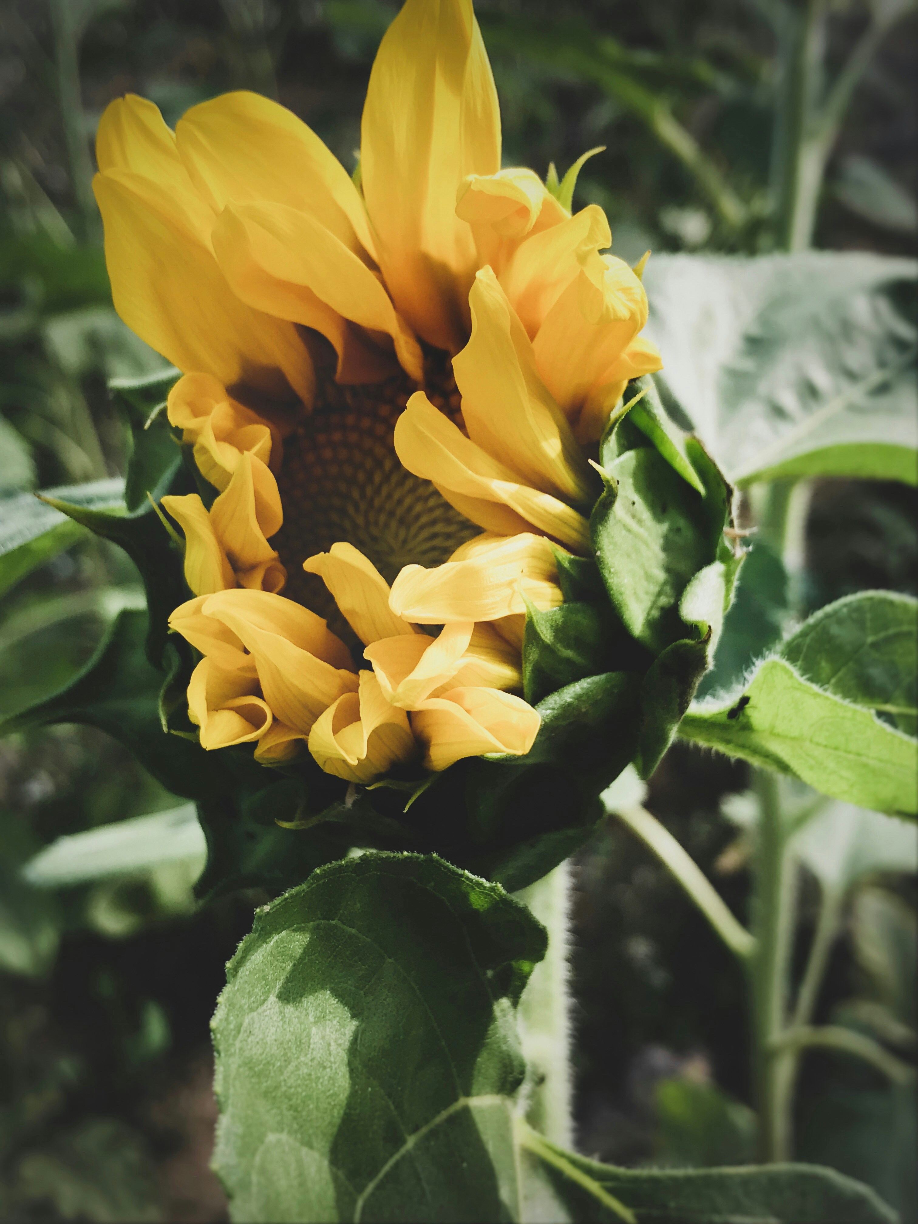 Photo by malikeid4