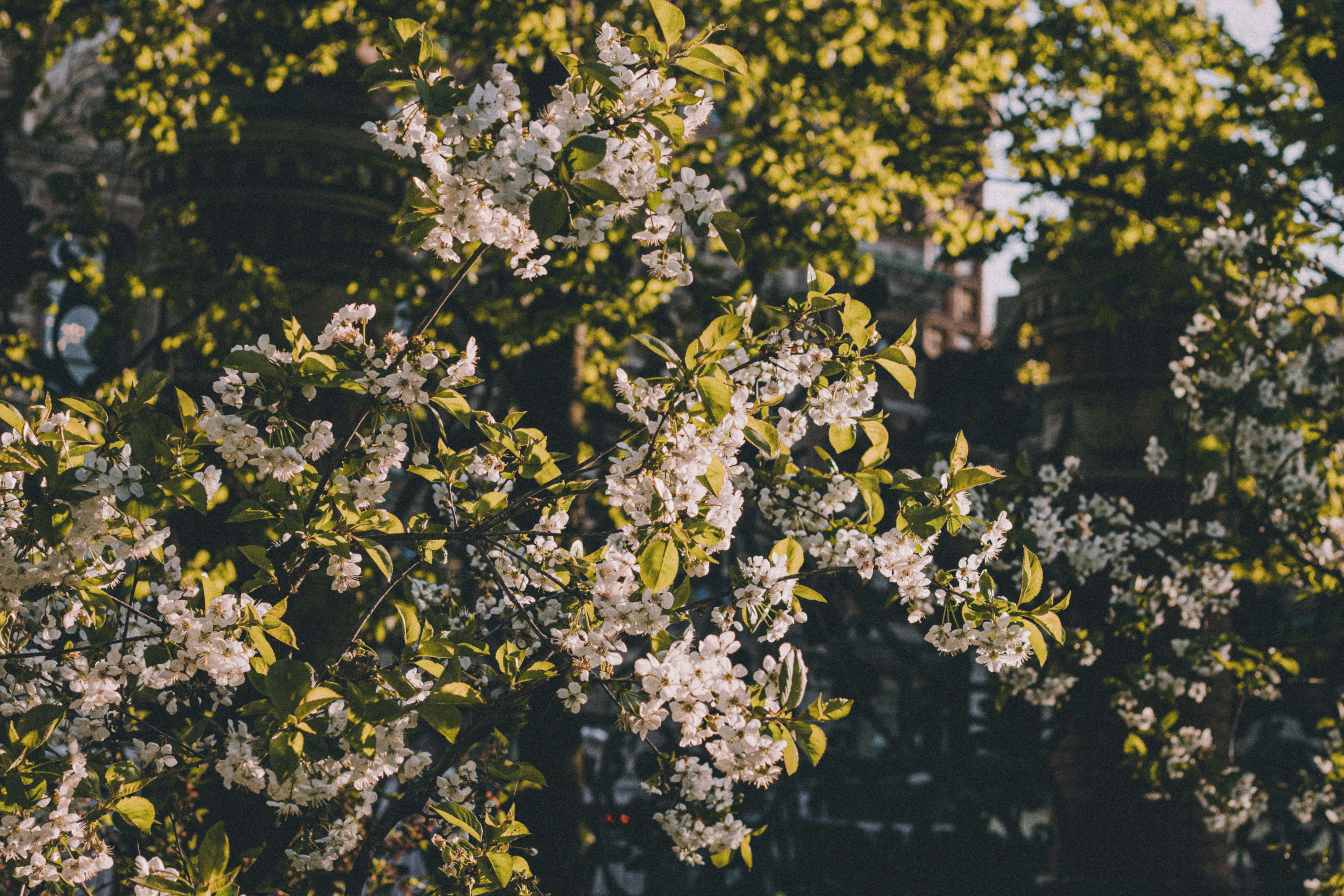 замена сайлентблоков на автомобиль